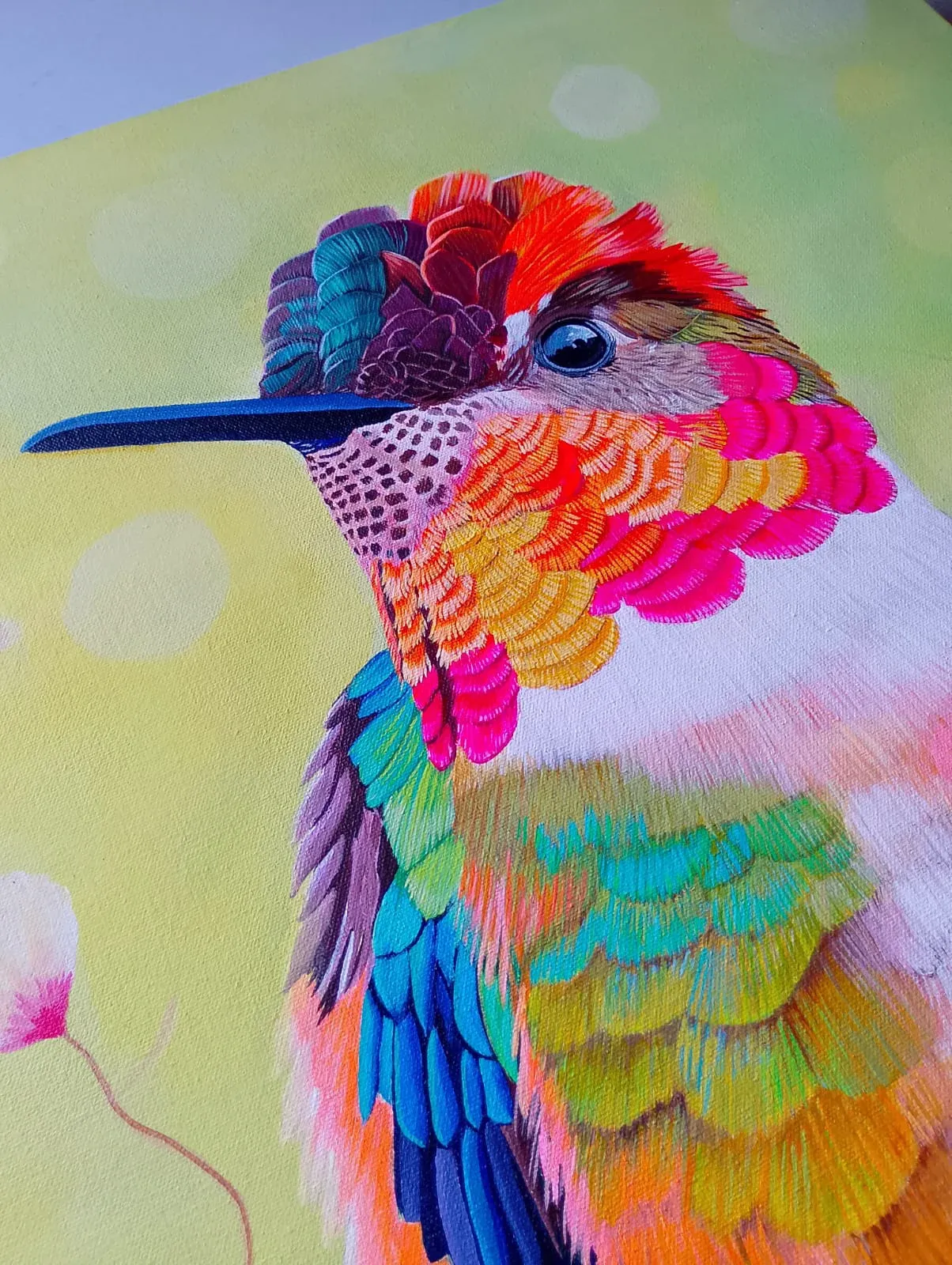Detalle de las plumas de colores del colibrí