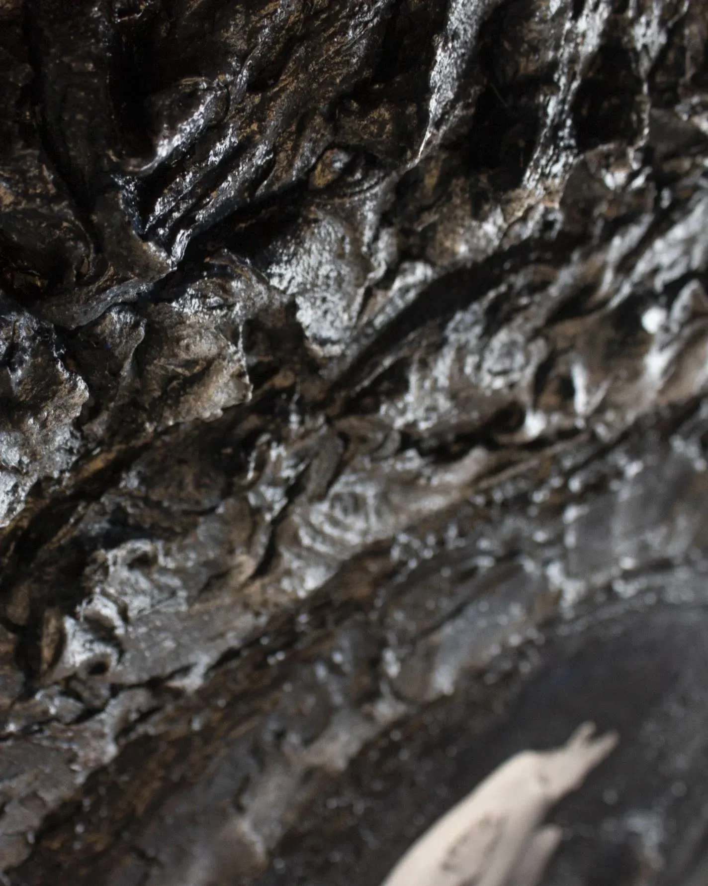 Detalle de la textura orgánica del relieve oscuro